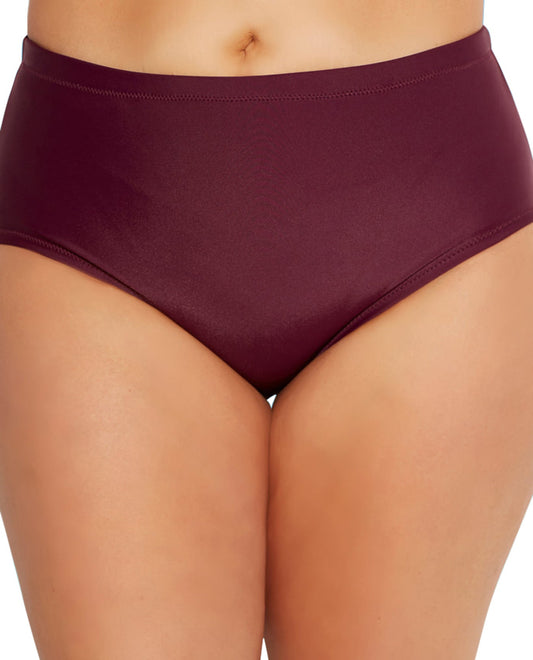 Front View Of Raisins Curve St Vincent Mid Rise Plus Size Swim Brief in Maroon | RCU ST VINCENT
