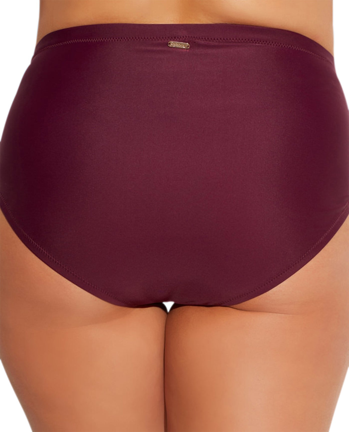 Back View Of Raisins Curve St Vincent Mid Rise Plus Size Swim Brief in Maroon | RCU ST VINCENT