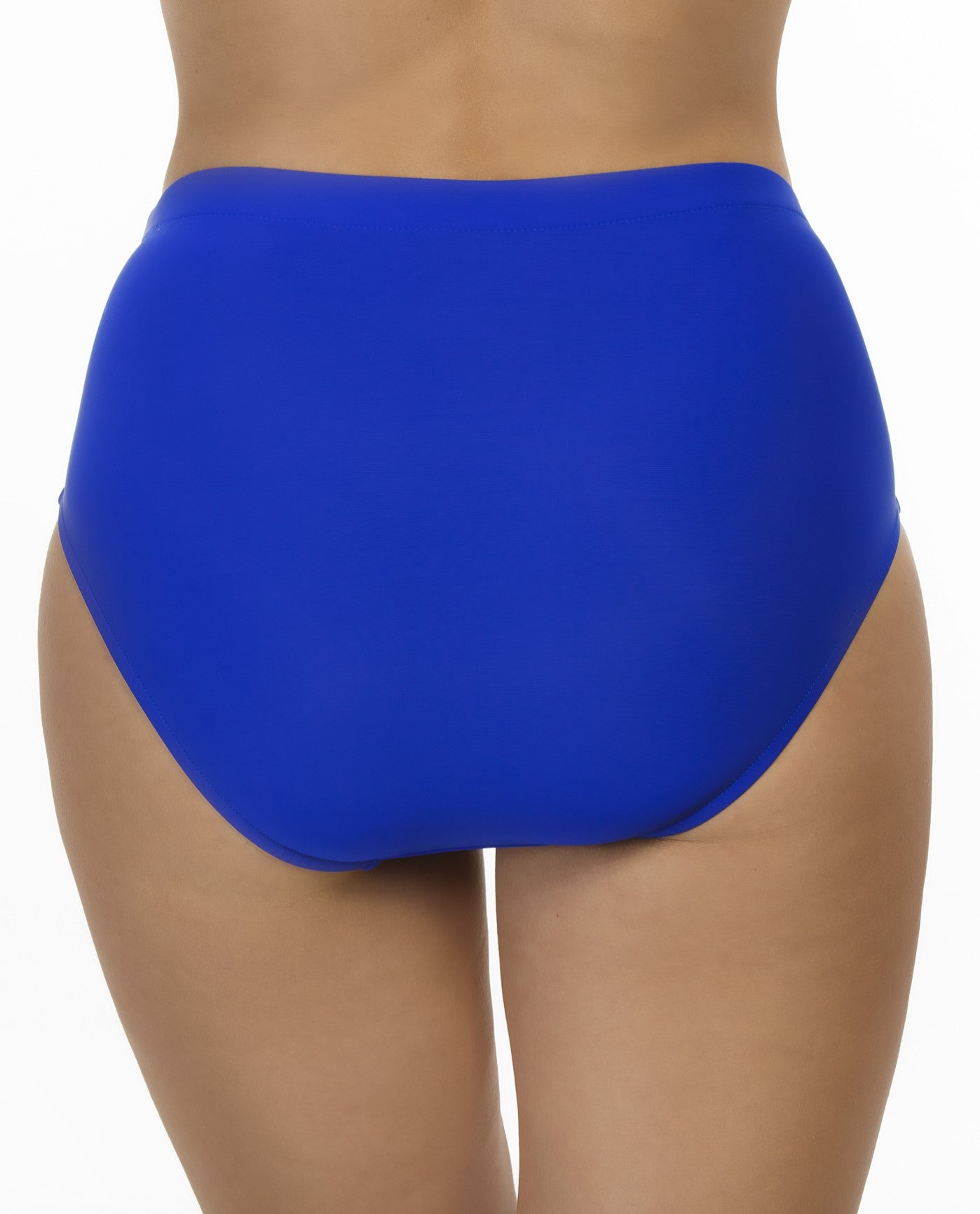 Back View of Shape Solver Royal Blue Plus Size High Waist Tankini Bottom | SOL ROYAL